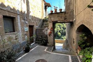 2 LOCALI A ISCHIA DI CASTRO