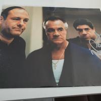 autografo Vincent pastore 