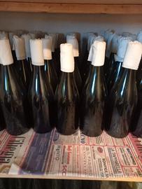 Bottiglie per vino