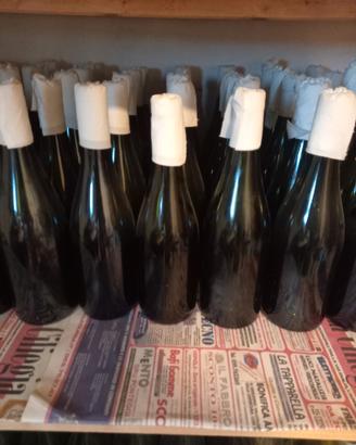 Bottiglie per vino