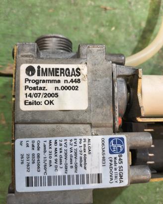 caldaia Immergas 