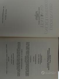 Dizionario enciclopedico italiano treccani