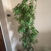 Pianta finta 170cm