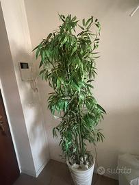 Pianta finta 170cm