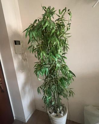 Pianta finta 170cm