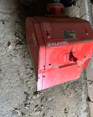 Motocoltivatore goldoni