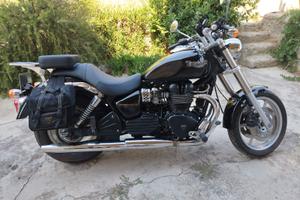 Triumph speedmaster