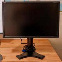 Monitor NEC P221W - 22" opaco - professionale