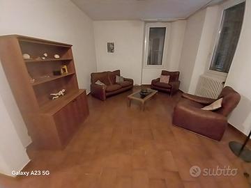 divano e poltrone in pelle