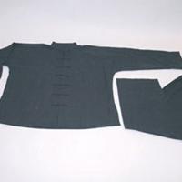 Kung Fu Wushu Divisa