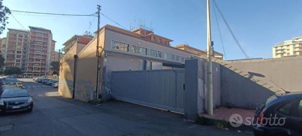 Locale, Ognina-Lungomare De Gasperi, Catania