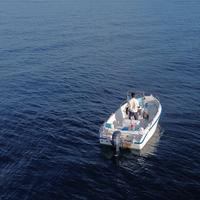 Barca fuoribordo 40cv