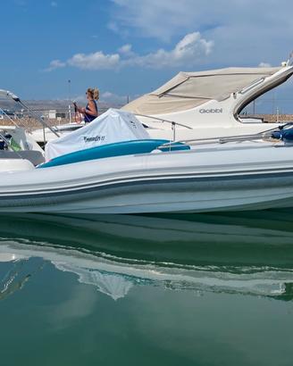 Marlin boat top 23 FB