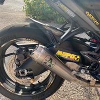 Terminale Arrow pro-race suzuki gsx s 1000/ katana