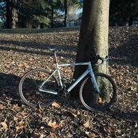 Santa Cruz Stigmata CC taglia XL