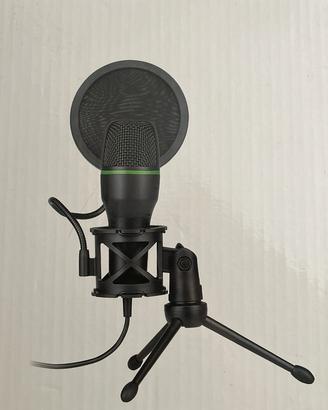 Microfono e Pannello Insonorizzante