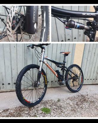 Cannondale scalpel