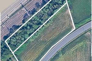 Appezzamento di terreno con annesso boschetto