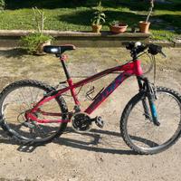 Bicicletta SmP taglia 24
