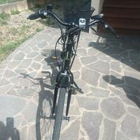 bicicletta elettrica