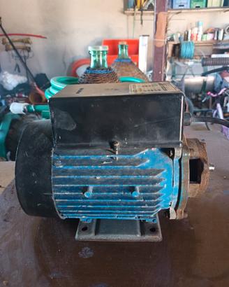 motore elettrico 