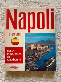 Napoli e dintorni - 187 tavole a colori - 1980.