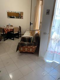 Ville singole arredato centrale