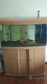 Acquario 100*50*50