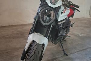 monster 937 in perfette condizioni  