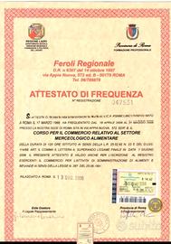 Barista 20 anni di esperienza 