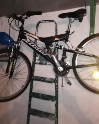 Mountain Bike x Ragazzi