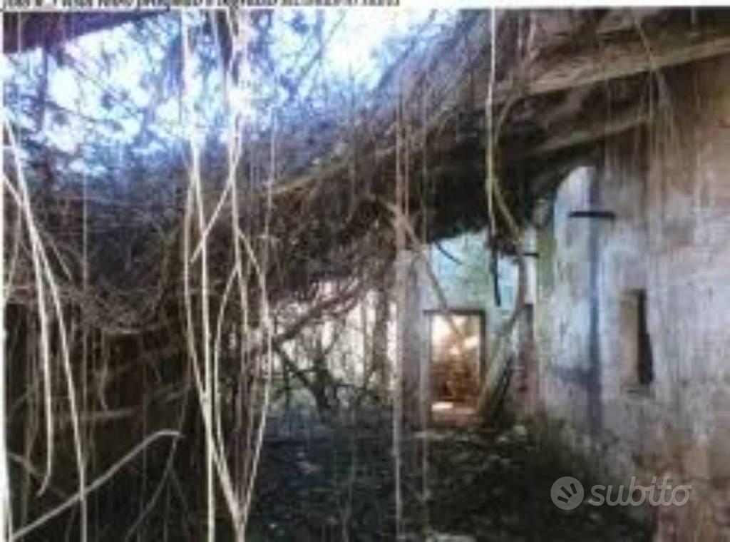 Immobile in asta di 272 m² a Civitella d'Agliano - Vista 4