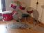 Immagine 2