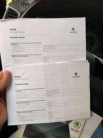 Skoda Karoq 2.0 TDI DSG 7 rapporti, 2021