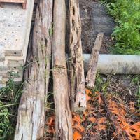 Travi in ginepro diametro 10 e 15 l 300/330/250