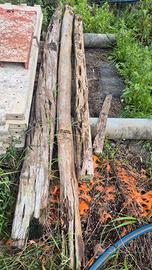 Travi in ginepro diametro 10 e 15 l 300/330/250