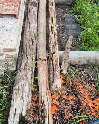 Travi in ginepro diametro 10 e 15 l 300/330/250