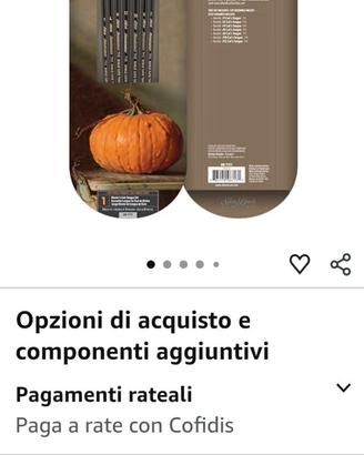 Silver Brush Limited per dipinti ad olio ed acquer