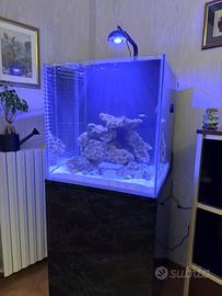 Cetus 2 S 84w