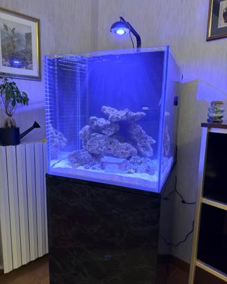 Cetus 2 S 84w
