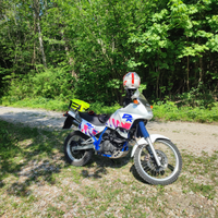 Suzuki DR 650 RSE 1991