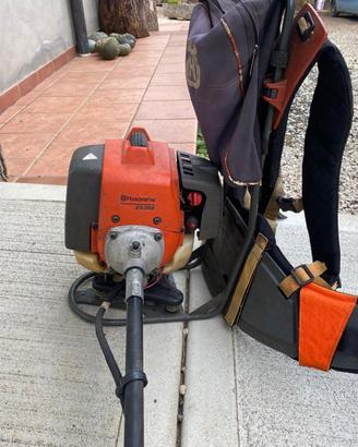 Decespugliatore a zaino