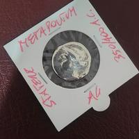 Statere Argento Incuso Metaponto Magna Grecia 