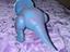 Immagine 3