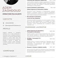 Cameriere / Aiuto Cuoco / Pulizie