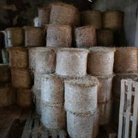 Fieno in ballette rotonde