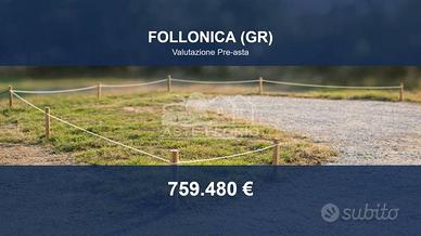 Immobile in asta di 11235 m² a Follonica