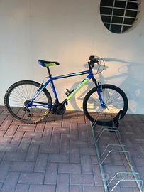 Bici ducale taglia M