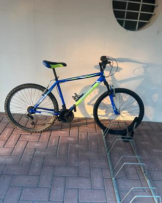 Bici ducale taglia M