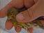 Immagine 1